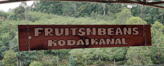 Rustic wooden sign hanging outdoors reads 'FRUITS N BEANS KODAIKANAL' in white text on a reddish-brown background.